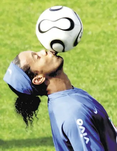 保利尼奥的 保利尼奥的